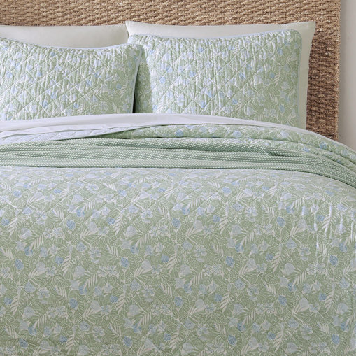 A light green bedding set featuring a quilted pattern with a floral design, complemented by matching pillow shams.