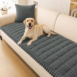 A dog lies on a sofa covered with a textured, grey cushion, with a matching pillow behind it.