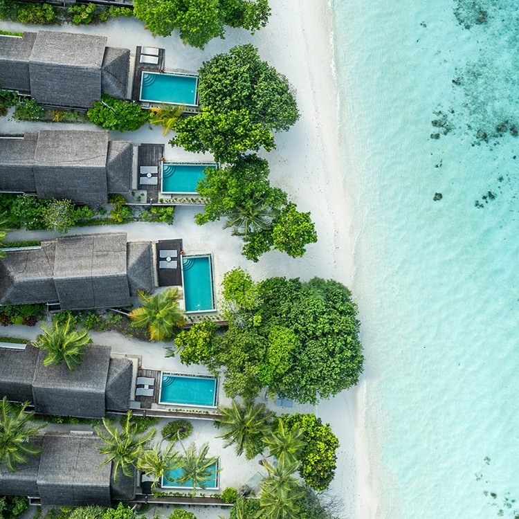 Aerial view of beachfront villas with private pools, surrounded by lush greenery and situated along a sandy shore next to clear turquoise water.