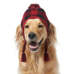 A Golden Retriever wears a red and black plaid knit winter hat with tassels. The promotion offers a buy one, get one free deal on pet gifts at Chewy.
