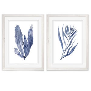 Two framed artworks feature blue-toned botanical illustrations, each depicting different leaf designs in a minimalist style.