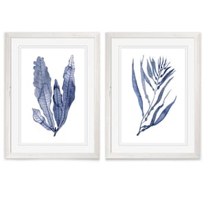 Two framed artworks feature blue-toned botanical illustrations, each depicting different leaf designs in a minimalist style.