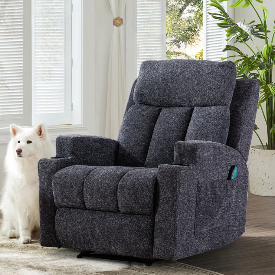 A dark gray recliner chair is placed near a window with white curtains, accompanied by a white fluffy dog. A green potted plant is visible in the corner.