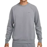 Gray sweatshirt with a small Nike logo on the chest, featuring long sleeves and a crew neck design.