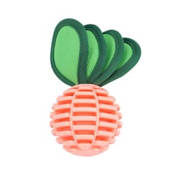 A durable dog chew toy featuring a pink textured ball with green fabric leaves attached, designed to entertain and promote dental health.