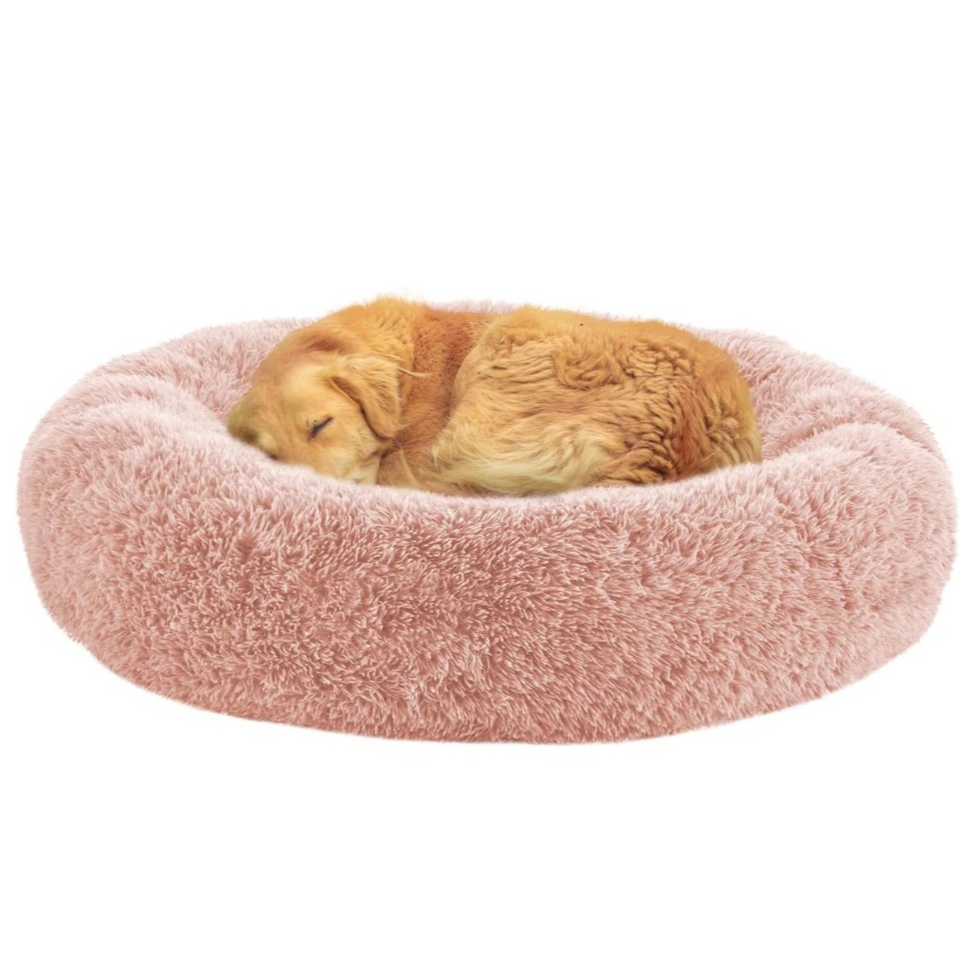 A golden retriever is curled up on a round, fluffy pink pet bed with a soft texture.