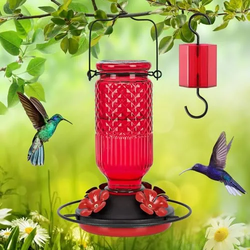 A red glass hummingbird feeder with decorative flower accents is shown, equipped with a mounting hook and a bright hanging component. Two hummingbirds are depicted near the feeder amidst a garden setting.