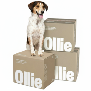A dog sits on stacked boxes labeled \“Ollie,\“ which are likely related to pet food or supplies.