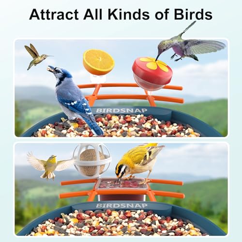 Bird feeder with compartments for seeds, water, and fruit, attracting various birds such as hummingbirds, blue jays, and yellow finches.