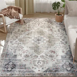 A decorative area rug with an intricate, multi-colored floral and geometric pattern, placed in a living room setting between a chair and a sofa.