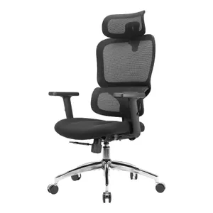 Ergonomic office chair with adjustable armrests, mesh back, headrest, and chrome swivel base with wheels.