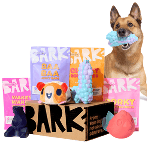BARK dog products including Baa Baa Jerky Bars, Wakey Wakey soft bakes, Clucky soft-bakes, Porky soft trainers, plus various dog toys, with a dog holding a rubber toy in its mouth.