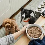 Two dogs eagerly watch as a person prepares to serve a bowl of freshly prepared pet food. A package of similar food is nearby on the kitchen counter.