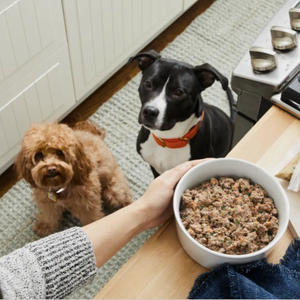 Two dogs eagerly watch as a person prepares to serve a bowl of freshly prepared pet food. A package of similar food is nearby on the kitchen counter.