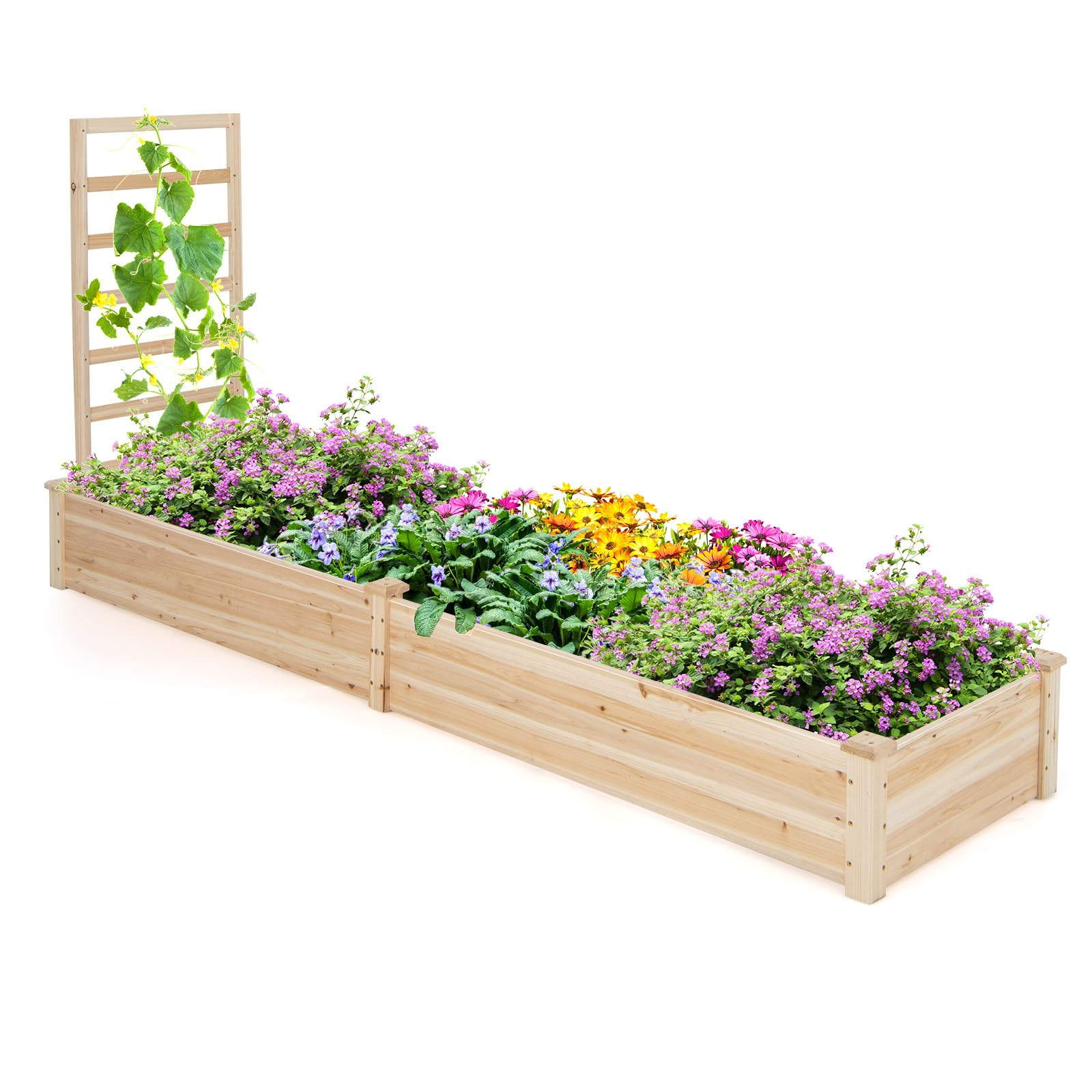 A wooden rectangular raised garden bed with a trellis on one end, filled with various colorful flowers and climbing plants.