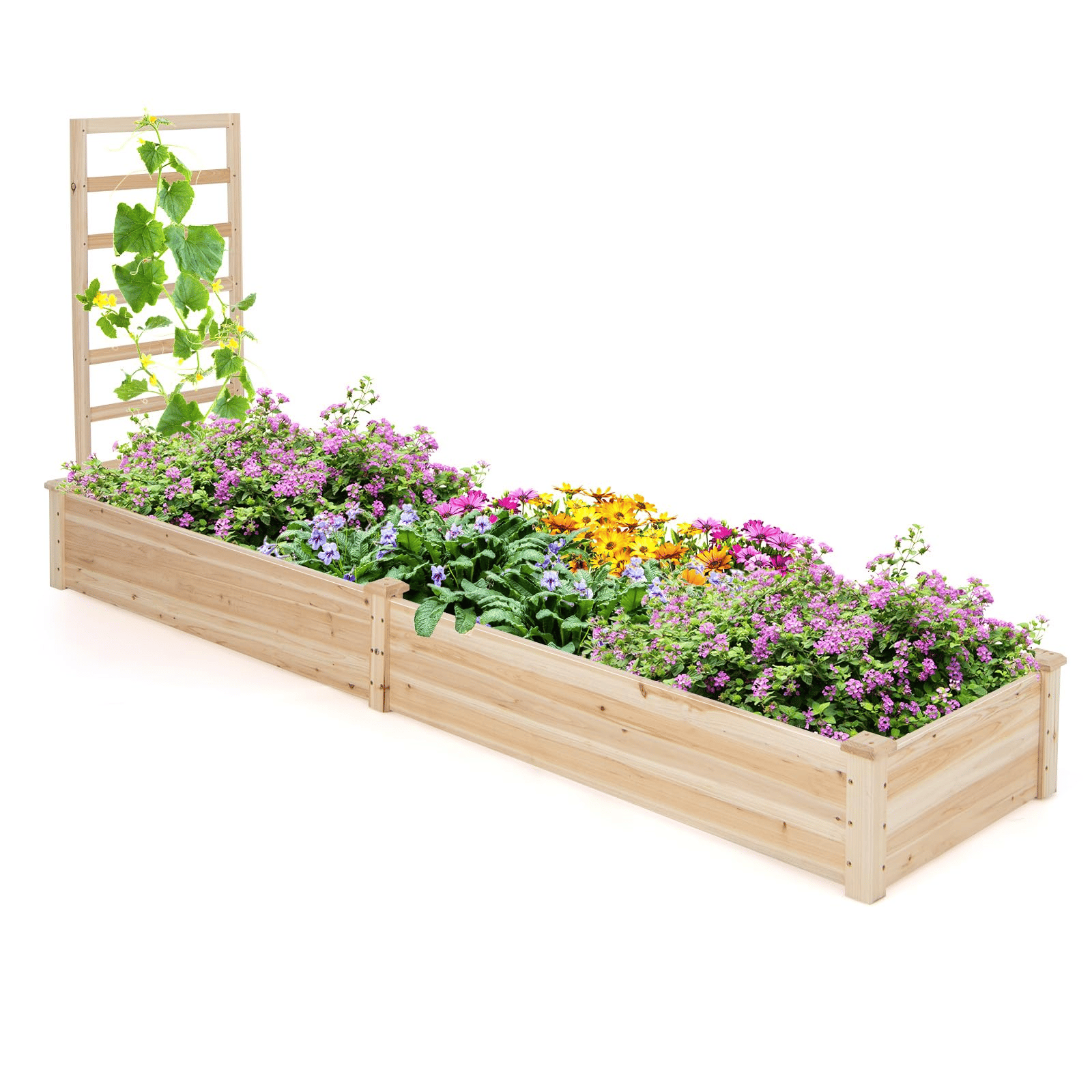 A wooden rectangular raised garden bed with a trellis on one end, filled with various colorful flowers and climbing plants.