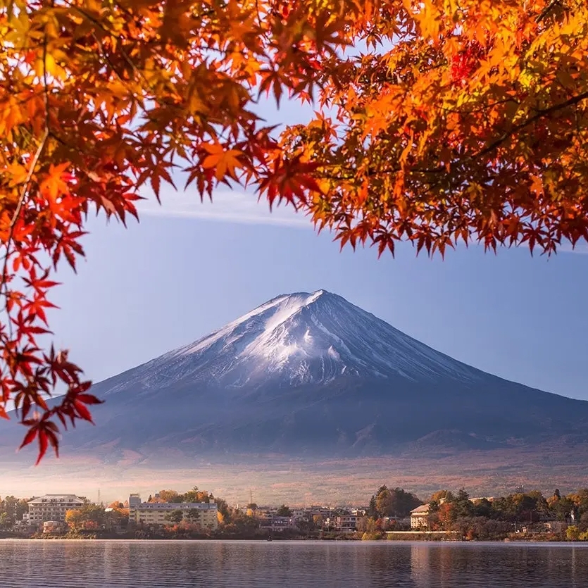 Mount Fuji capped with snow framed by autumn leaves, overlooking a calm lake and buildings.