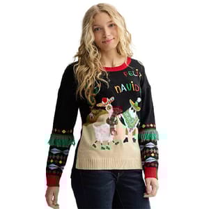 A person wears a festive black sweater featuring llamas with holiday accessories, red and green fringe, and \“Feliz Navidad\“ text.