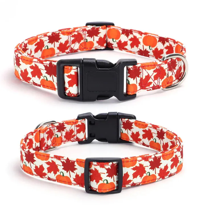 A dog collar featuring a fall-themed design with orange pumpkins and red maple leaves, equipped with a black buckle and metal D-ring for leash attachment.