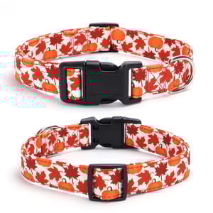 A dog collar featuring a fall-themed design with orange pumpkins and red maple leaves, equipped with a black buckle and metal D-ring for leash attachment.