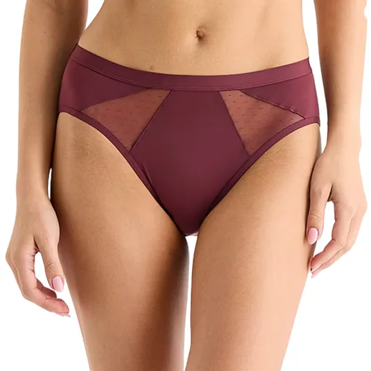 Maroon high-waisted bikini-style panties featuring semi-sheer mesh panels with a subtle dotted pattern. Ideal for stylish comfort.