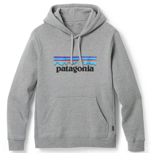 Gray hoodie with a front pocket and drawstrings, featuring the Patagonia logo in black letters with a mountain design above it.