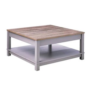 Square coffee table with gray sides and a light wood grain top, featuring a lower shelf for additional storage or display.