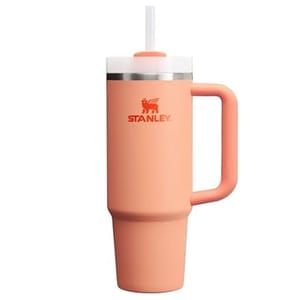 Pink Stanley insulated travel mug with a handle and a straw featuring a stainless steel rim.