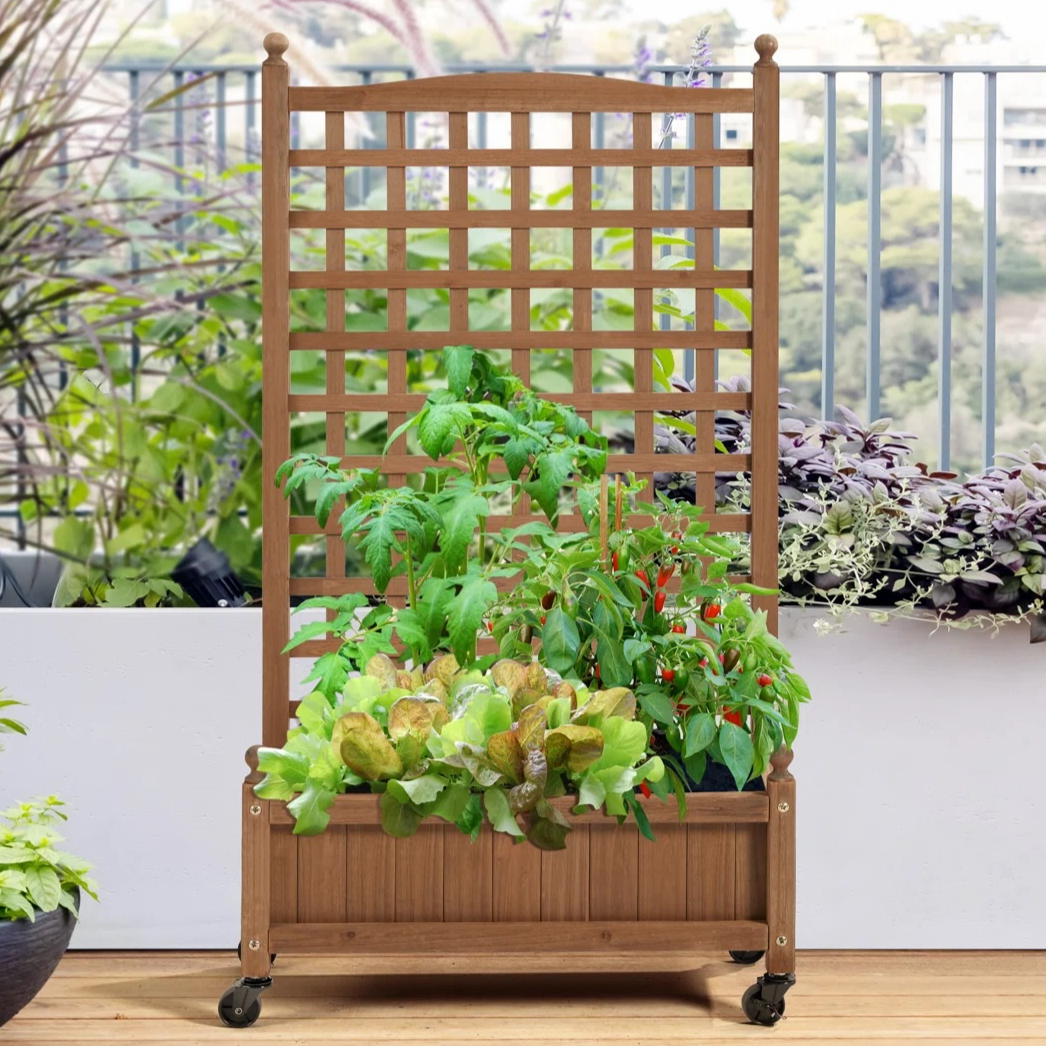 Wooden planter box with trellis and wheels, housing tomato plants, lettuce, and other mixed greenery, set on a balcony.