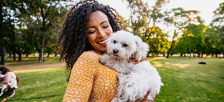 woman shopping online for pets