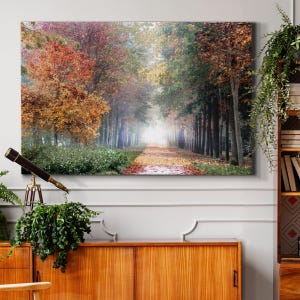 A wall art piece depicting an autumn forest path hangs above a wooden cabinet, next to a telescope and plants.