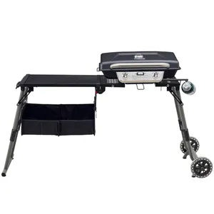 A portable gas grill with a folding design featuring two burners, a side shelf, and storage pockets underneath, mounted on wheels for easy transport.