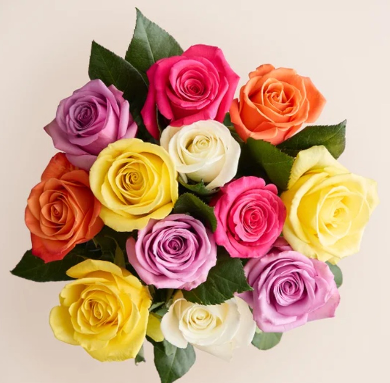 A bouquet of multicolored roses features vibrant shades of pink, orange, yellow, purple, and white, accompanied by lush green leaves.