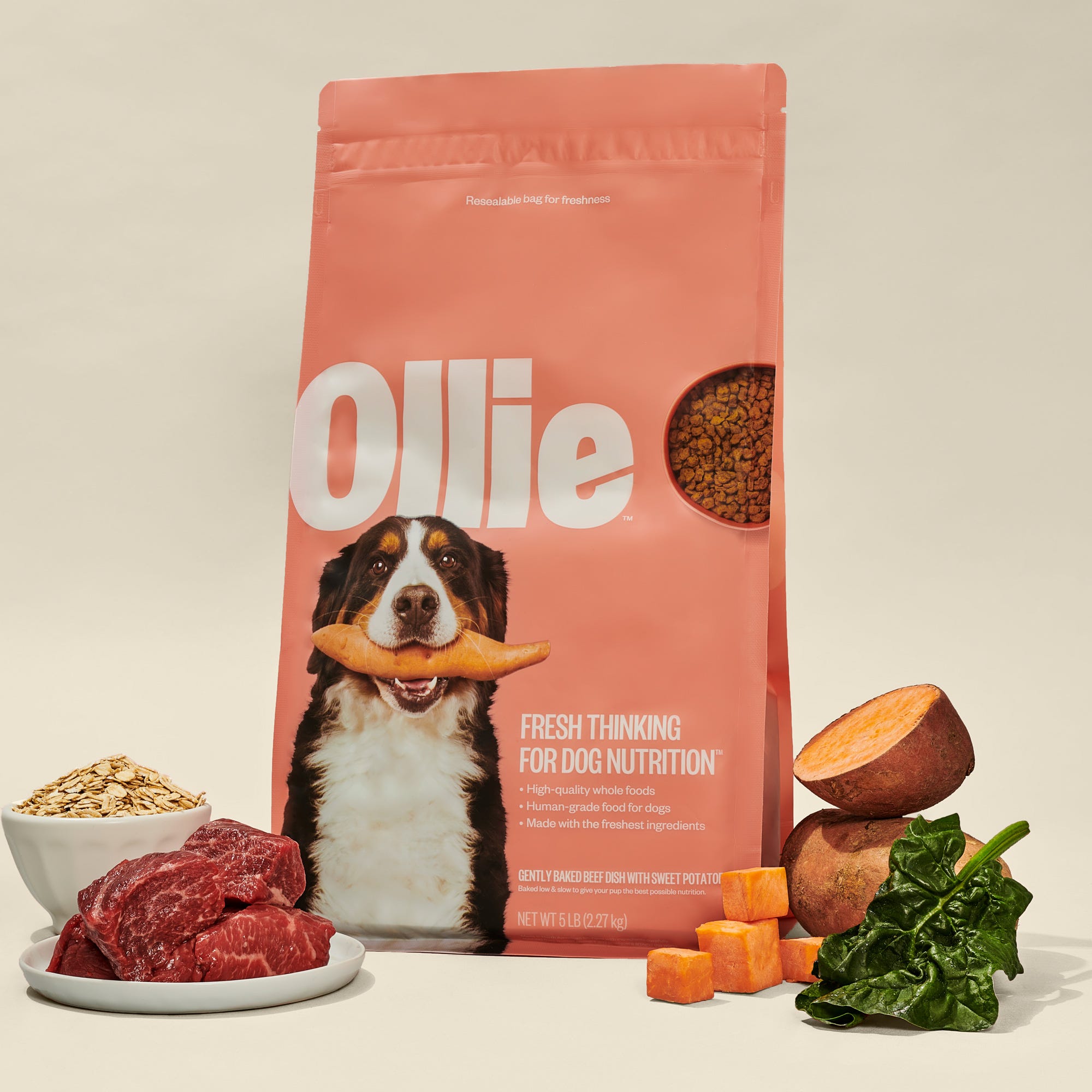 A bag of \“Ollie\“ dog food labeled as \“Fresh Thinking for Dog Nutrition\“ is displayed with ingredients like beef, sweet potato, oats, and spinach.
