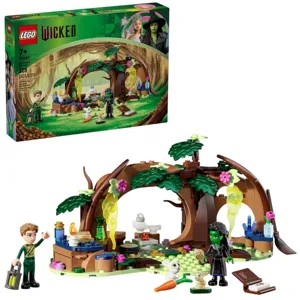 LEGO Wicked set for ages 7+; includes 228 pieces featuring a magical forest scene with mini-figures and accessories from the Wicked series.