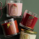Four scented candles are displayed, labeled as Pomegranate Fig, Winterberry Spruce, Spiced Holly Berry, and Holiday Cookie, each in a glass jar with a festive label, 14 oz each.