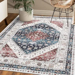 A rectangular area rug with a traditional pattern features blue, red, and white colors. It's placed on a wooden floor, accompanied by a potted plant and a woven chair.