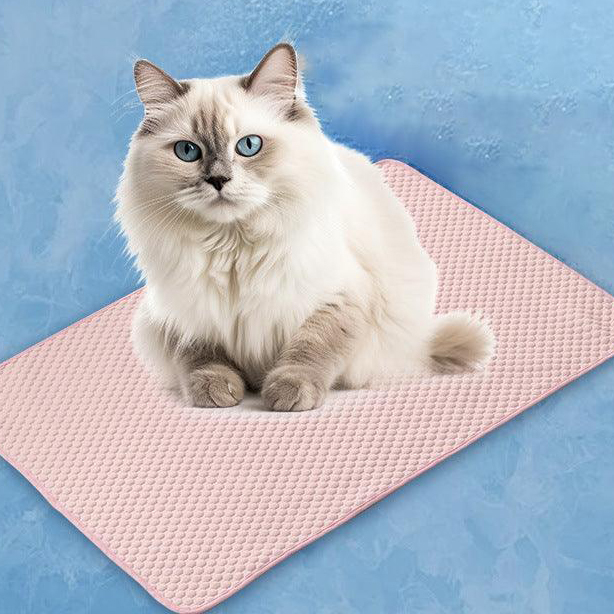 A fluffy cat with blue eyes sits on a textured pink mat against a blue background.