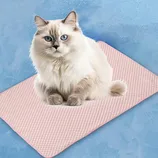 A fluffy cat with blue eyes sits on a textured pink mat against a blue background.