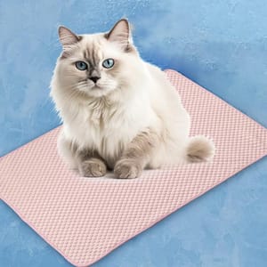 A fluffy cat with blue eyes sits on a textured pink mat against a blue background.