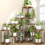 A wooden multi-tiered plant stand holds various potted plants and succulents next to a sunny window, showcasing a decorative display of indoor greenery.