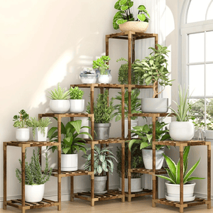 A wooden multi-tiered plant stand holds various potted plants and succulents next to a sunny window, showcasing a decorative display of indoor greenery.