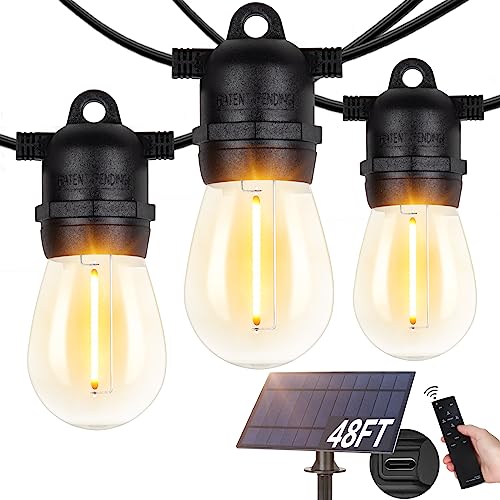 This is a set of 48-foot LED Edison-style string lights, featuring large vintage bulbs with visible filaments, and comes with a solar panel and remote control.