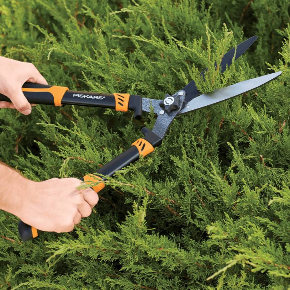 A person is using Fiskars hedge shears to trim a bush.