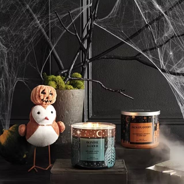 A Distant Lands Candle with a teal label depicting a pine forest is shown next to a plush decorative figure and beneath a web-covered tree branch.