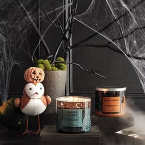 A Distant Lands Candle with a teal label depicting a pine forest is shown next to a plush decorative figure and beneath a web-covered tree branch.