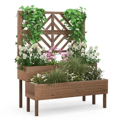 A wooden 2-tier raised garden bed featuring a trellis with climbing plants at the back and flowers in the beds. The raised design allows for better drainage and easy access, ideal for small gardening spaces.