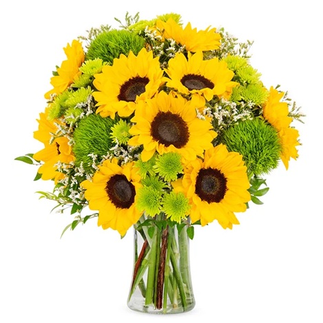 A bouquet of sunflowers mixed with small white flowers and green pom-poms arranged in a clear glass vase.