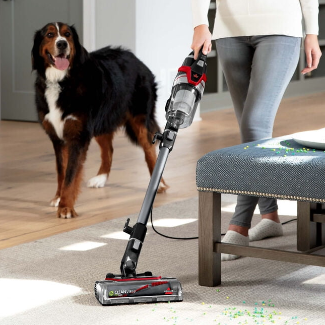 A person is cleaning green sprinkles from a carpet with a cordless stick vacuum cleaner while a Bernese Mountain Dog watches.