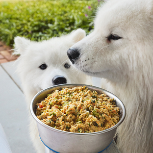 Two fluffy white dogs are next to a metal bowl filled with a mixed dish that includes vegetables and grains, possibly dog food.
